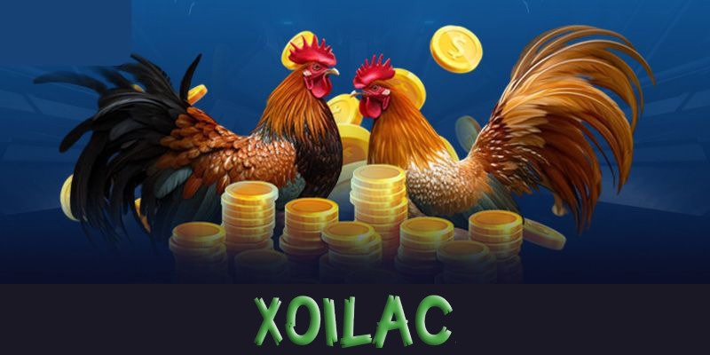 Đá gà Xoilac | Sân chơi đá gà Xoilac của những nhà vô địch